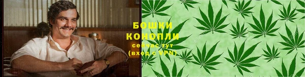 дживик Зеленодольск