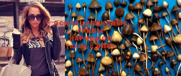 амфетамин Кострома