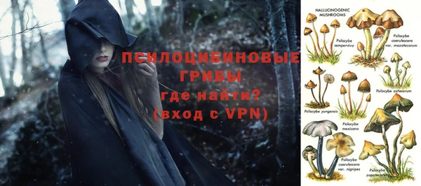 дживик Зеленодольск