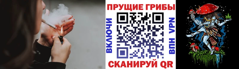 Купить где  Зеленодольск  Галлюциногенные грибы Psilocybine cubensis 